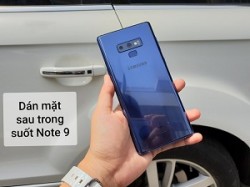 Dán sau Samsung Note 9 trong suốt chống trầy cao cấp
